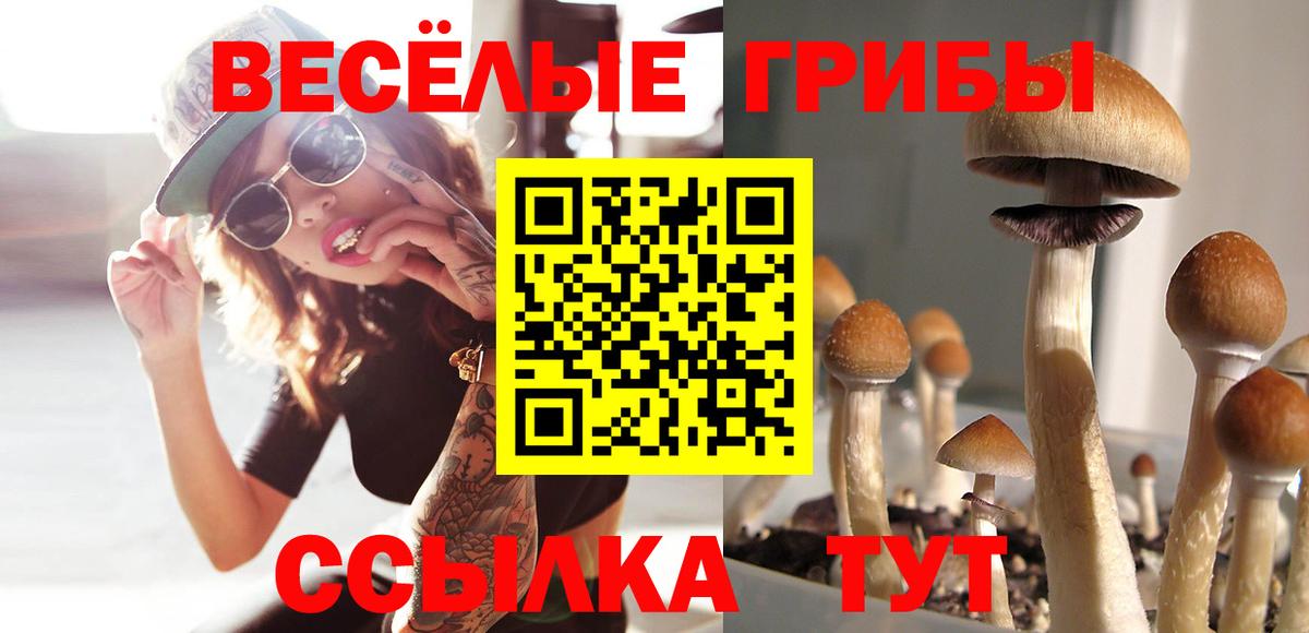 Псилоцибиновые грибы Cubensis Рассказово